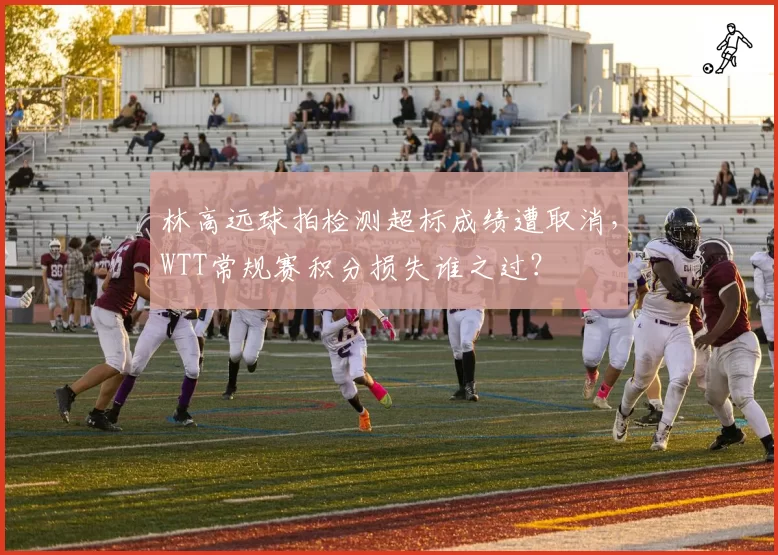 林高远球拍检测超标成绩遭取消，WTT常规赛积分损失谁之过？