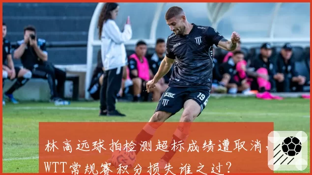 林高远球拍检测超标成绩遭取消，WTT常规赛积分损失谁之过？