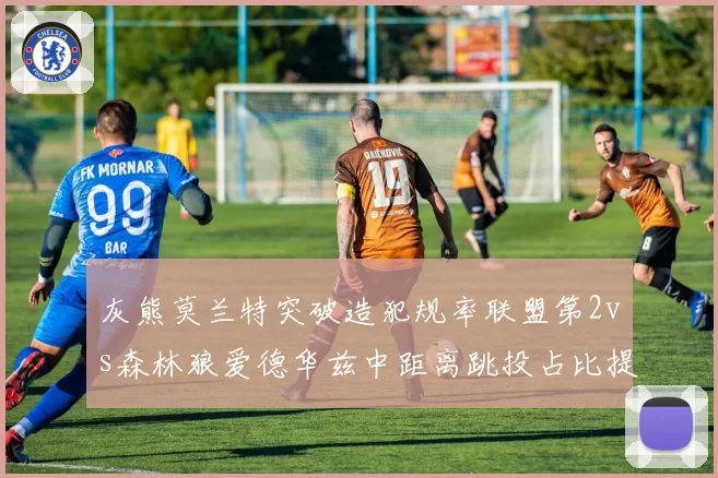 灰熊莫兰特突破造犯规率联盟第2vs森林狼爱德华兹中距离跳投占比提升,后场风格差异